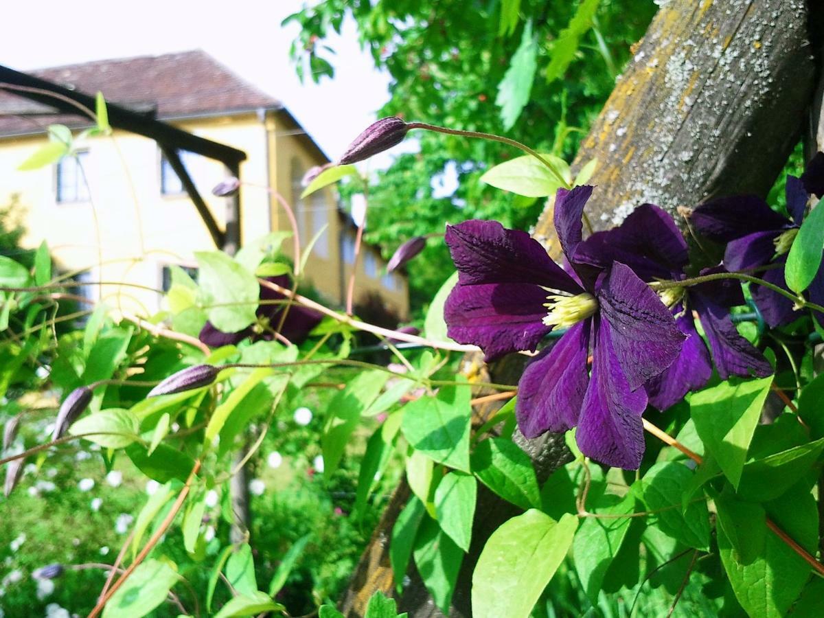 Marienschloessl Bed & Breakfast Wiedendorf Ngoại thất bức ảnh