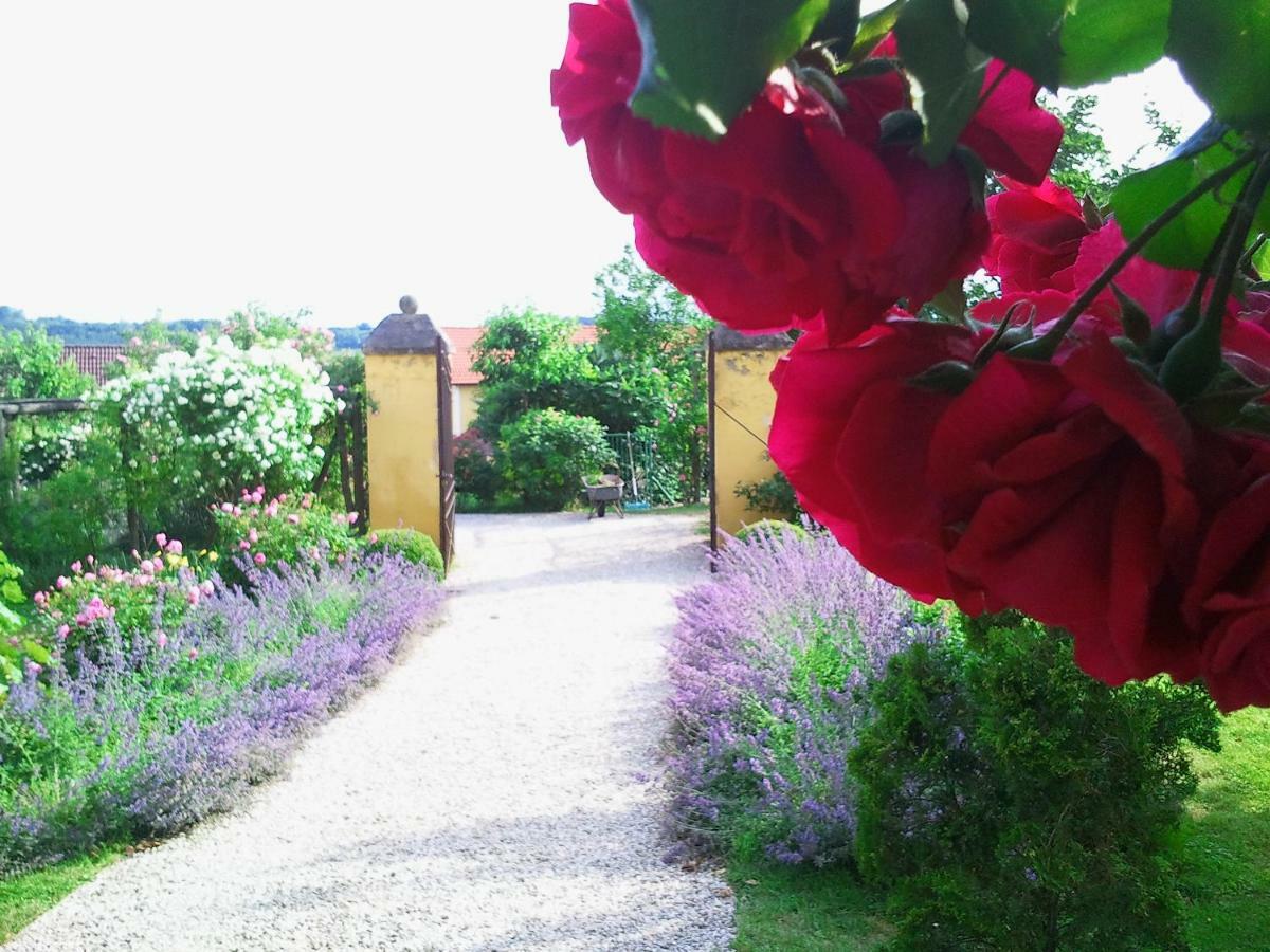 Marienschloessl Bed & Breakfast Wiedendorf Ngoại thất bức ảnh